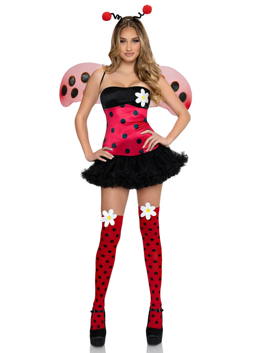 Lady Bug & Daisy Bee