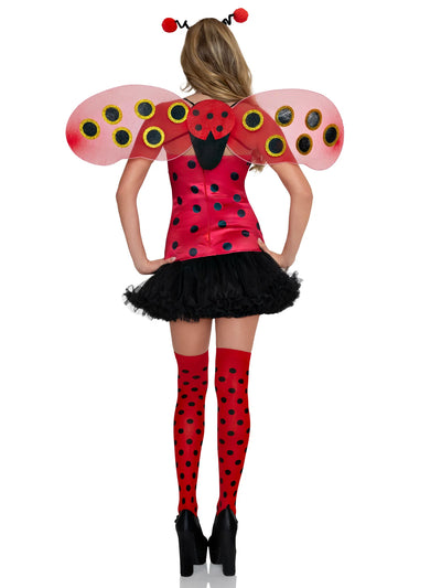 Lady Bug & Daisy Bee